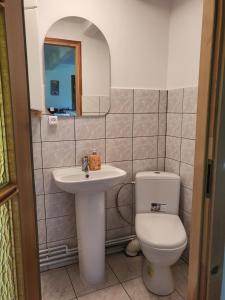 a bathroom with a toilet and a sink and a mirror at Białowieża 131 in Białowieża +15 photos