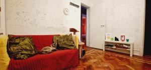 Mini Hostel in Lisbon في لشبونة: كلب يستلقي على أريكة حمراء في غرفة المعيشة