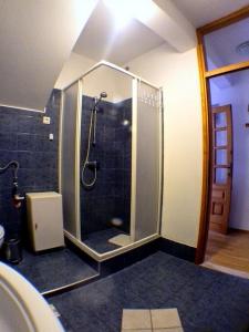 baño con ducha y puerta de cristal en Apartments by the sea Prizba, Korcula - 14385, en Prizba