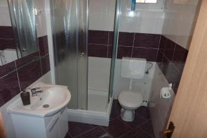 a bathroom with a shower and a toilet and a sink at Apartments with a parking space Vir - 14389 in Vir