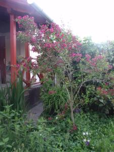 A garden outside Kerékpáros és Zarándok Vendégház
