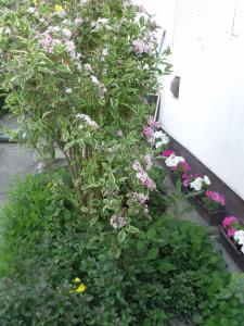 A garden outside Kerékpáros és Zarándok Vendégház