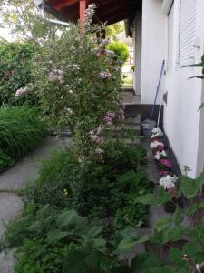 A garden outside Kerékpáros és Zarándok Vendégház