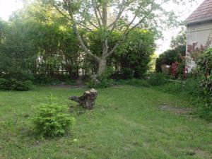 A garden outside Kerékpáros és Zarándok Vendégház