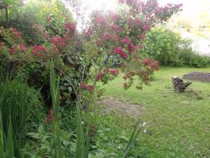 A garden outside Kerékpáros és Zarándok Vendégház