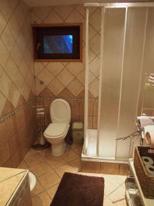 a bathroom with a toilet and a shower at Apartments with a parking space Lokve, Gorski kotar - 14469 in Lokve