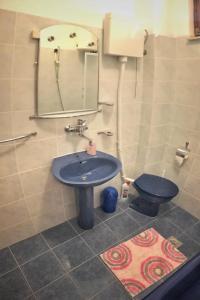 ein Badezimmer mit einem blauen Waschbecken und einer Toilette in der Unterkunft Apartment Povlja 14399c in Povlja