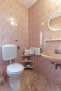 uma casa de banho com um WC e um lavatório em Apartments by the sea Cove Vela Stiniva, Hvar - 14511 em Zastražišće