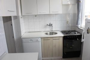 Kuchyň nebo kuchyňský kout v ubytování Apartments with a parking space Pula - 14533