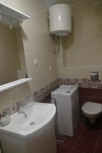 ein Badezimmer mit einem Waschbecken, einem WC und einem Spiegel in der Unterkunft Apartments with a parking space Makarska - 14560 in Makarska