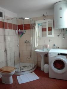 a bathroom with a shower and a toilet and a sink at Triple Room Plomin Luka 15078c in Plomin
