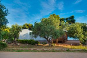 Fotografie z fotogalerie ubytování Apartments by the sea Pirovac, Sibenik - 16363 v destinaci Pirovac