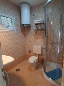 羅維尼的住宿－Apartments with a parking space Rovinj - 16498，浴室配有卫生间、淋浴和盥洗盆。