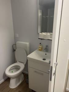 een badkamer met een toilet, een wastafel en een spiegel bij Apartment Pakostane 16579a in Pakoštane