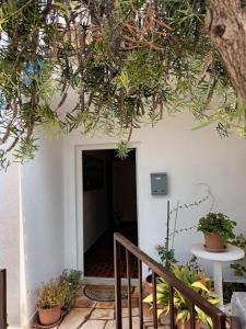 Un escalier mène à une maison avec un arbre. dans l'établissement Apartment Mira - affordable & comfortable, à Supetar