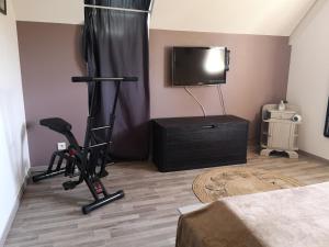 TV a/nebo společenská místnost v ubytování Chambre Fleurs de Lys proche Zooparc de Beauval et des Châteaux de la Loire