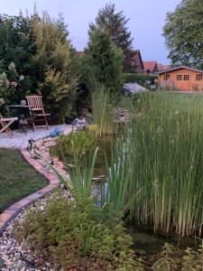 a pond in a garden with a bench and grass at Sprem06 in Elsterheide
