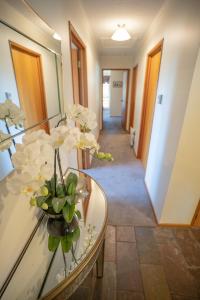 Fotografie z fotogalerie ubytování Alpine Rock B&B v destinaci Te Anau