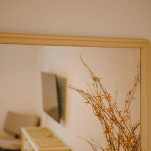 ein Bild eines Spiegels und einer Pflanze in einem Raum in der Unterkunft Nasos Corfu Town Apartment in Korfu-Stadt