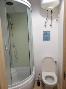 a bathroom with a shower and a toilet and a sink at В сердце города! Дерибасовская/Соборная площадь. in Odesa