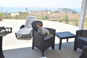 ein Hund auf einem Stuhl auf einer Terrasse in der Unterkunft Casa vacanze Abbacari in Realmonte
