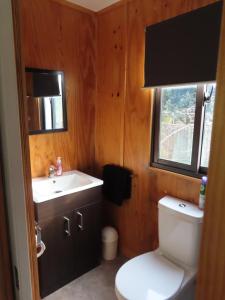 a bathroom with a toilet and a sink and a window at Westmere Retreat in Westmere