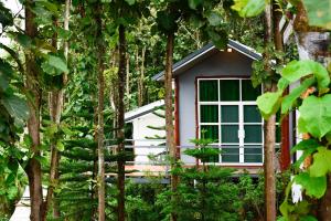 Zahrada ubytování One khaokho homestay