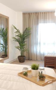 una camera con un letto con due piante sopra di Mood Bilbao Apartamentos - New & Special a Bilbao