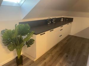 a kitchen with white cabinets and a potted plant at Sorinas Home - Comfortable Apartment near Graz - Free Parking in Wagersbach