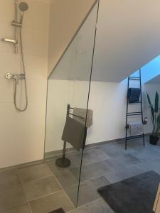 a shower in a bathroom with a glass wall at Sorinas Home - Comfortable Apartment near Graz - Free Parking in Wagersbach