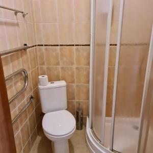 a bathroom with a toilet and a shower at Rezidence Kurzeme in Kāķīši
