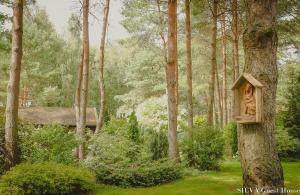 Zahrada ubytování SILVA Guest House - dom wczasowy, tenis, basen, balia i sauna