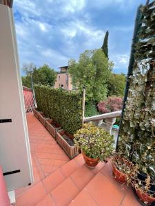 a balcony with potted plants and a fence at Ca' Liberty in Venice-Lido