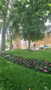Zahrada ubytování PLACE 4 U Studio Center