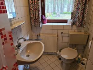 a bathroom with a sink and a toilet at Ferienwohnungen Frohberg in Schneverdingen