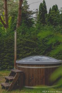 Fotografie z fotogalerie ubytování SILVA Guest House - dom wczasowy, tenis, basen, balia i sauna v destinaci Borsk