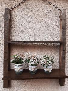 three potted plants on a shelf on a wall at B&B Natalia in Gualdo Tadino