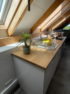a kitchen with a counter with a plant on it at Secret Hideaway with picturesque Sundown Views in Traben-Trarbach