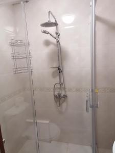 a bathroom with a shower with a glass door at Ano's Apartment in Štip
