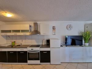 Kuchyň nebo kuchyňský kout v ubytování Apartment Deni
