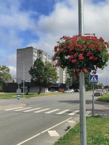 a pole with a basket of flowers on a street at Kotkapesa Apartment in Kiviõli