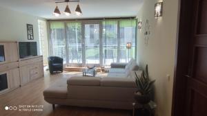 uma sala de estar com um sofá e uma grande janela em LuxApartament 3 - z dużym tarasem i garażem w Zeta Park em Ustroń