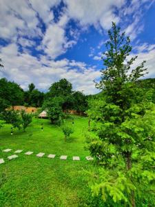 Bozioru的住宿－Tinutul Luanei Glamping Resort，草场中间的树
