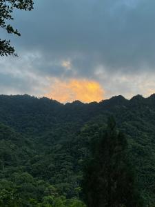 uma vista para uma floresta com o pôr-do-sol ao fundo em 牛奶森林 柏竺山莊Bozhu villa em Sanyi