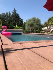 a swimming pool with a pink swan in the water at Le Gîte au calme d'Aubignan 4 personnes, 1 chambre in Aubignan