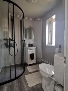 a bathroom with a shower and a toilet and a sink at Căsuța de munte in Mărişel
