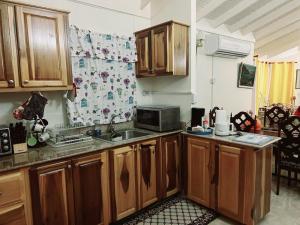a kitchen with a sink and a microwave at L&V Paradise Vacation # 1 in Florence Hall