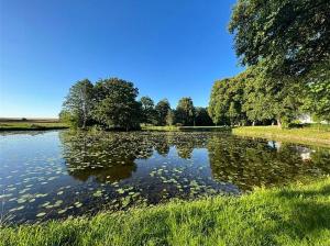 a body of water with trees and grass at Familienfreundliche Ferienwohnung mit Wintergarten in Badow