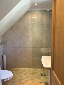 a bathroom with a shower and a toilet and a sink at The Kings Arms Inn in Oakham