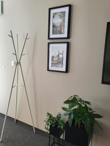 Fotografie z fotogalerie ubytování Apartamenty CITI v destinaci Siechnice